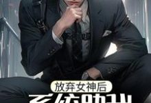 寻找能够免费阅读放弃女神后，系统助我当男神小说的平台-艾米文学