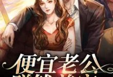 便宜老公赚钱养家,我貌美如花小说,便宜老公赚钱养家,我貌美如花免费阅读-艾米文学