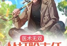 医术无双：从打脸主任开始无敌陆安，医术无双：从打脸主任开始无敌章节在线阅读-艾米文学