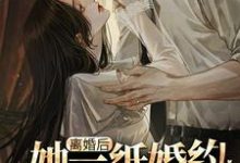 离婚后,她一纸婚约嫁入豪门小说,离婚后,她一纸婚约嫁入豪门在线阅读-艾米文学