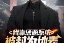我靠惩恶系统，被封为地表最强男人小说，我靠惩恶系统，被封为地表最强男人在线阅读-艾米文学