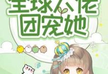 小说《福娃囡囡!全球大佬团宠她》在线章节阅读-艾米文学