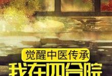 觉醒中医传承，我在四合院做神医免费阅读，觉醒中医传承，我在四合院做神医章节在线阅读-艾米文学