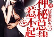 主角叫唐宁霍瑾寒牧逸小说娇妻似火,神秘总裁惹不起章节免费阅读-艾米文学