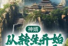 唐昊李婉清小说在哪里可以看-艾米文学