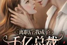 小说《离职后，我成了千亿总裁的小娇妻》在线章节阅读-艾米文学