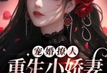 主角姜泠傅砚舟小说完结版在线阅读，宠婚撩人：重生小娇妻又软又甜免费看-艾米文学