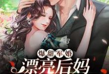 主角叫南漾陆忱宴小说爆甜军婚，漂亮后妈在九零赢麻了章节免费阅读-艾米文学