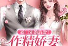 完结版《豪门先婚后爱!作精娇妻又软又嗲》免费阅读-艾米文学