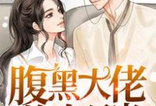 男女主人公叫苏璃顾翊修的小说免费资源-艾米文学