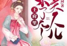 王府里来了个美人儿小说，王府里来了个美人儿章节在线阅读-艾米文学