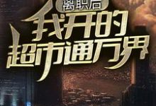 离职后,我开的超市通万界小说的免费电子版在哪里可以下载或阅读?-艾米文学