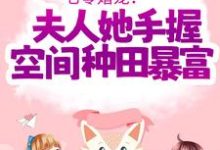 七零婚宠!夫人她手握空间种田暴富(傅晓沈轻舟)在线免费阅读-艾米文学
