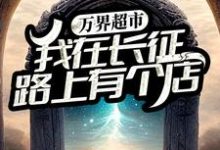 万界超市:我在长征路上有个店高妙妙,万界超市:我在长征路上有个店在线无弹窗阅读-艾米文学