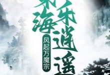 主人公王铮血云子小说风起万魔宗,东海乐逍遥在线章节阅读-艾米文学