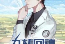 神医:九转回魂,一针定生死 林霄白诗韵小说在线章节目录阅读最新章节-艾米文学