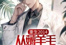 重生2014，从薅羊毛开始暴富小说最新更新在哪里？免费在线看-艾米文学