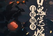 小说《白蛇缠身，百鬼送嫁》在线章节阅读-艾米文学