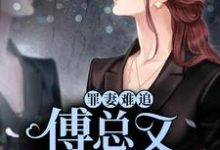 罪妻难追：傅总又被拉黑了小说全文阅读需要付费吗？寻找免费资源-艾米文学