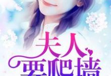 小说《报告总裁：夫人要爬墙》章节免费阅读-艾米文学