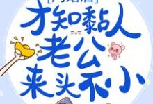 闪婚后，才知黏人老公来头不小海彤战胤在线章节免费阅读-艾米文学