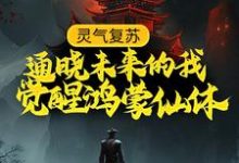 主角张昊瑶曦小说完结版在线阅读,灵气复苏:通晓未来的我觉醒鸿蒙仙体免费看-艾米文学