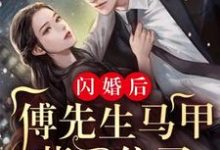 免费在线阅读闪婚后：傅先生马甲藏不住了小说的正规网站有哪些？-艾米文学