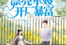 寻找能够免费阅读军宠八零：漂亮军嫂开厂暴富小说的平台-艾米文学