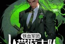 林锋李云龙是哪本书的主角?寻找铁血军团,从带游击队打仗开始免费阅读-艾米文学