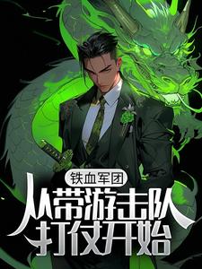 林锋李云龙是哪本书的主角？寻找铁血军团，从带游击队打仗开始免费阅读