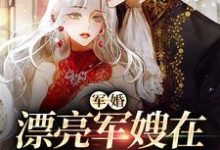 哪里能找到军婚:漂亮军嫂在七零赚麻了小说的最新更新和免费章节?-艾米文学