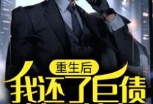 重生后,我还了巨债追回前妻(叶辰秦美云)在线免费阅读-艾米文学