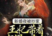 新婚夜被抄家,王妃带着空间入皇宫这本小说完结了吗?免费查看最新章节-艾米文学