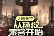 大国长空:从拯救乘客开始到战斗机小说全文哪里可以免费看?-艾米文学