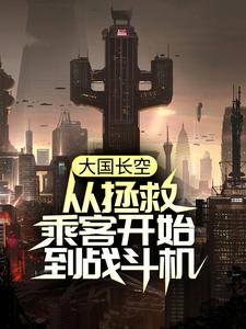 大国长空：从拯救乘客开始到战斗机小说全文哪里可以免费看？