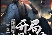 完结版《大秦:穿成胡亥,开局逆骨赵高》章节阅读-艾米文学