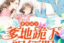 已完结小说《龙凤双宝:爹地跪下唱征服》在线章节阅读-艾米文学