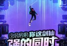 在线寻找陆圣的小说，你这剑仙，强的同时又过分帅气免费阅读-艾米文学