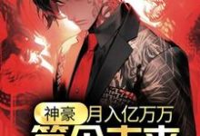 神豪：月入亿万万，签个未来天后怎么了？小说有没有完整的免费版本在线阅读？-艾米文学