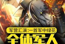 哪里能找到军营汇演：一首军中绿花，全体军人请假探亲小说的最新更新和免费章节？-艾米文学
