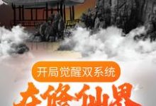 开局觉醒双系统，在修仙界放飞自我小说的免费阅读版本在哪里可以找到？-艾米文学