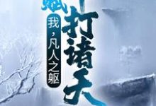 叶辰小说《我,凡人之躯,天赋吊打诸天》在线阅读-艾米文学