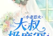 关玥季斐御小说在哪里可以看-艾米文学