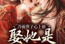 求冷面世子心上娇：娶她是筹谋已久小说免费资源-艾米文学