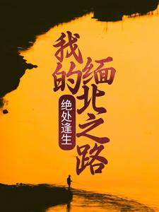 在线搜索陈昂赵俊的完整小说，免费阅读绝处逢生：我的缅北之路