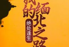 《绝处逢生：我的缅北之路》小说章节列表免费试读，陈昂赵俊小说在线阅读-艾米文学