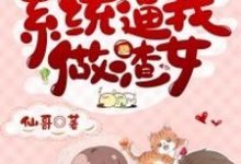 快穿：系统逼我做渣女小说有没有完结版在线？-艾米文学