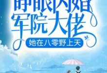 睁眼闪婚军院大佬，她在八零野上天最新章节，睁眼闪婚军院大佬，她在八零野上天免费阅读-艾米文学