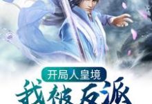主人公叫楚询姜尘的小说开局人皇境，我被反派养成神在线阅读章节-艾米文学