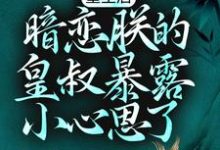 已完结小说《重生后,暗恋朕的皇叔暴露小心思了》在线章节阅读-艾米文学
